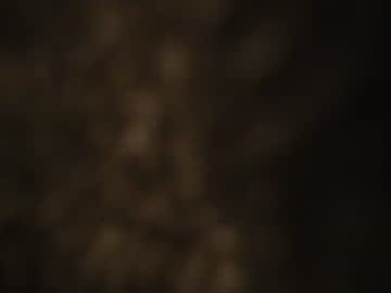 euforia video